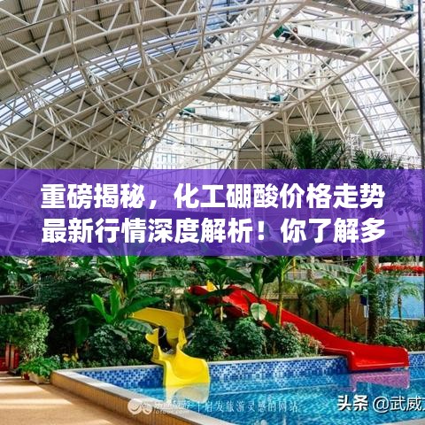 重磅揭秘，化工硼酸价格走势最新行情深度解析！你了解多少行业秘密？