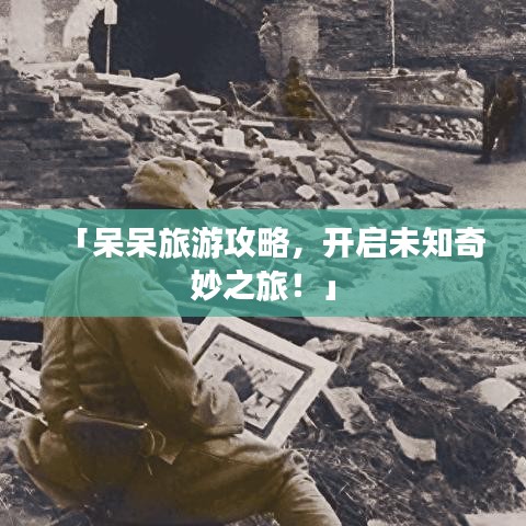「呆呆旅游攻略，开启未知奇妙之旅！」