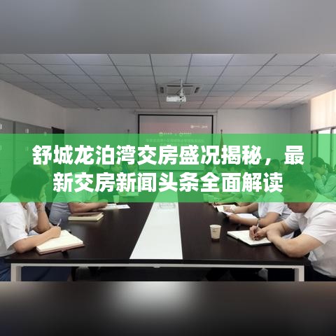 舒城龙泊湾交房盛况揭秘，最新交房新闻头条全面解读