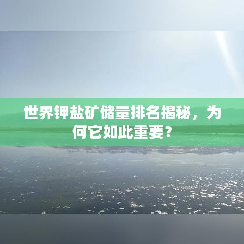 世界钾盐矿储量排名揭秘，为何它如此重要？