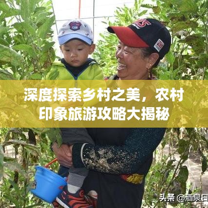 深度探索乡村之美，农村印象旅游攻略大揭秘