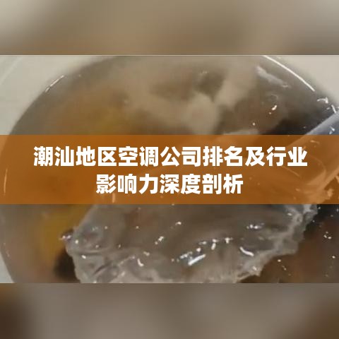 潮汕地区空调公司排名及行业影响力深度剖析