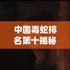 中国毒蛇排名第十揭秘，揭开神秘面纱下的真相！