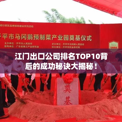 江门出口公司排名TOP10背后的成功秘诀大揭秘！