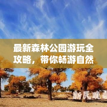 最新森林公园游玩全攻略，带你畅游自然之美