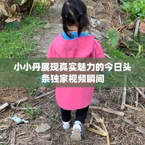 小小丹展现真实魅力的今日头条独家视频瞬间