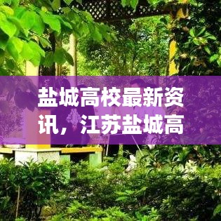 盐城高校最新资讯，江苏盐城高等教育发展新动态