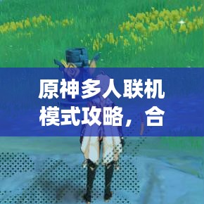 原神多人联机模式攻略，合作玩法技巧大全，轻松玩转多人游戏！