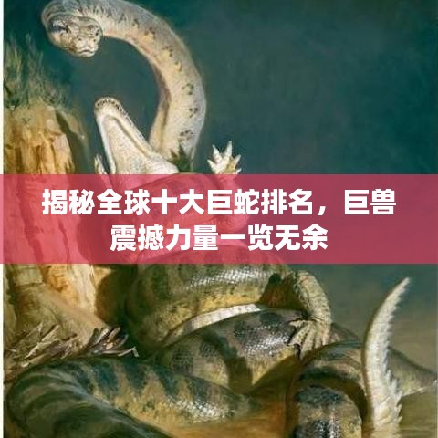 揭秘全球十大巨蛇排名，巨兽震撼力量一览无余