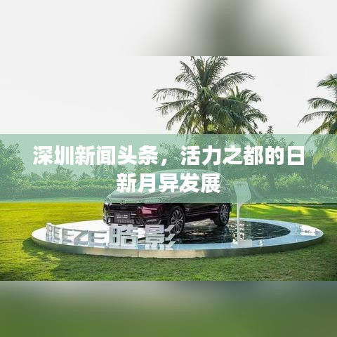 深圳新闻头条，活力之都的日新月异发展