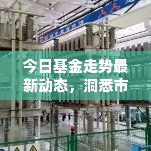 今日基金走势最新动态，洞悉市场脉动，把握投资良机