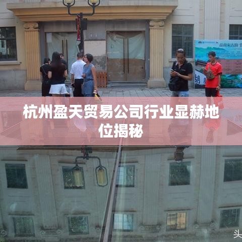 杭州盈天贸易公司行业显赫地位揭秘
