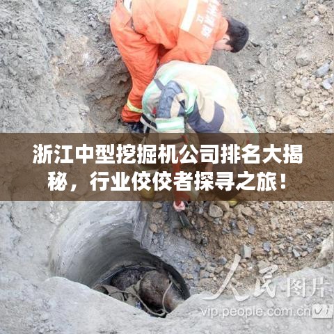 浙江中型挖掘机公司排名大揭秘，行业佼佼者探寻之旅！
