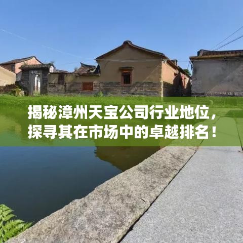 揭秘漳州天宝公司行业地位，探寻其在市场中的卓越排名！