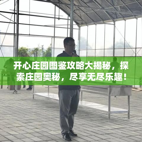 开心庄园图鉴攻略大揭秘，探索庄园奥秘，尽享无尽乐趣！
