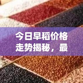 2025年6月17日 第17页