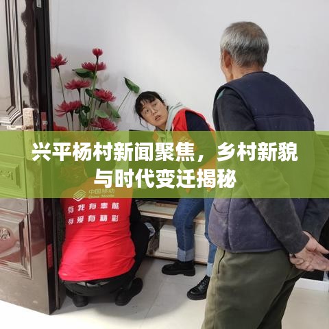 兴平杨村新闻聚焦，乡村新貌与时代变迁揭秘