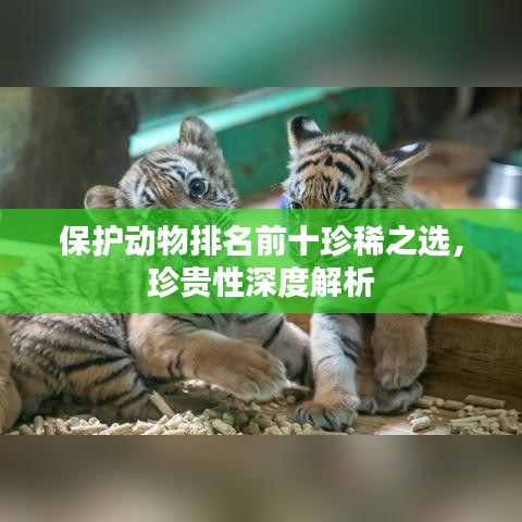 保护动物排名前十珍稀之选，珍贵性深度解析