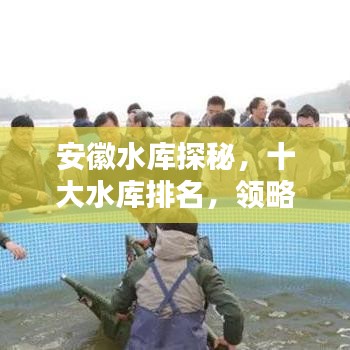 安徽水库探秘，十大水库排名，领略水域魅力之巅