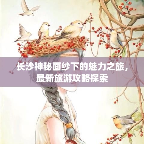 长沙神秘面纱下的魅力之旅，最新旅游攻略探索