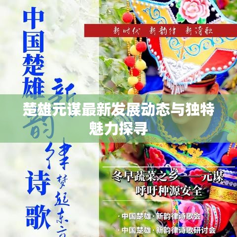 楚雄元谋最新发展动态与独特魅力探寻
