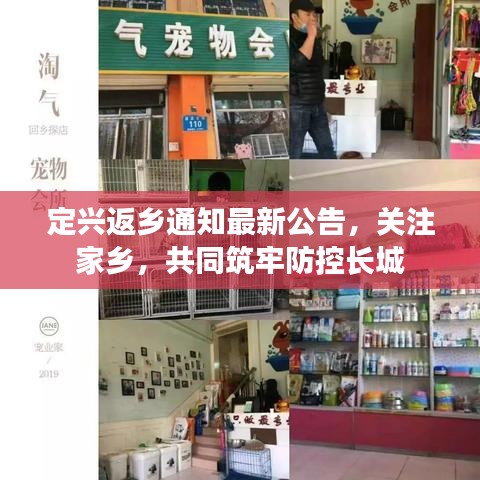 定兴返乡通知最新公告，关注家乡，共同筑牢防控长城