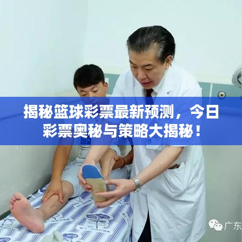 揭秘篮球彩票最新预测，今日彩票奥秘与策略大揭秘！