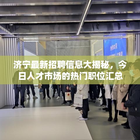 济宁最新招聘信息大揭秘，今日人才市场的热门职位汇总