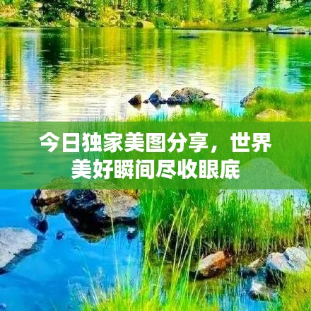 今日独家美图分享，世界美好瞬间尽收眼底