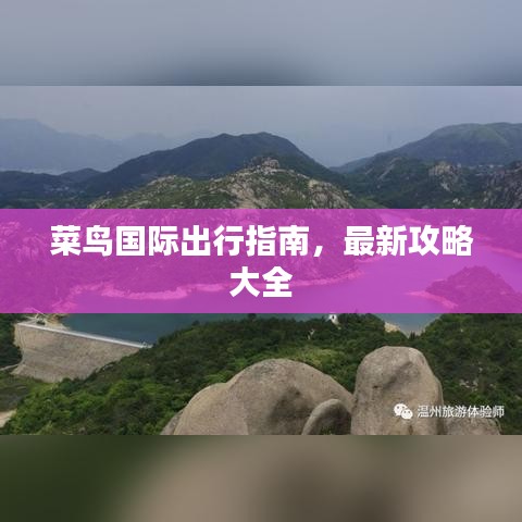 菜鸟国际出行指南，最新攻略大全