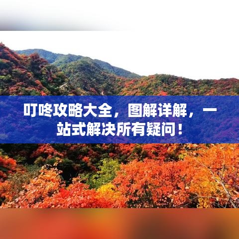 叮咚攻略大全，图解详解，一站式解决所有疑问！