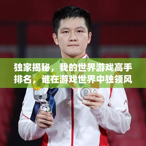 独家揭秘，我的世界游戏高手排名，谁在游戏世界中独领风骚？