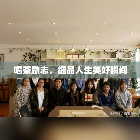 喝茶励志，细品人生美好瞬间