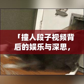 「撞人段子视频背后的娱乐与深思，最新热门视频集锦」