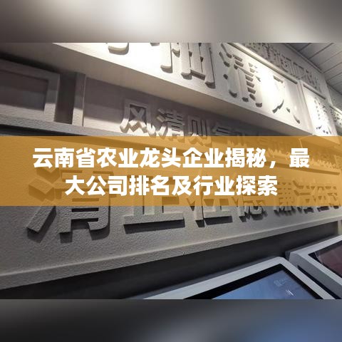 云南省农业龙头企业揭秘，最大公司排名及行业探索