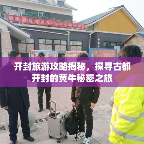 开封旅游攻略揭秘，探寻古都开封的黄牛秘密之旅