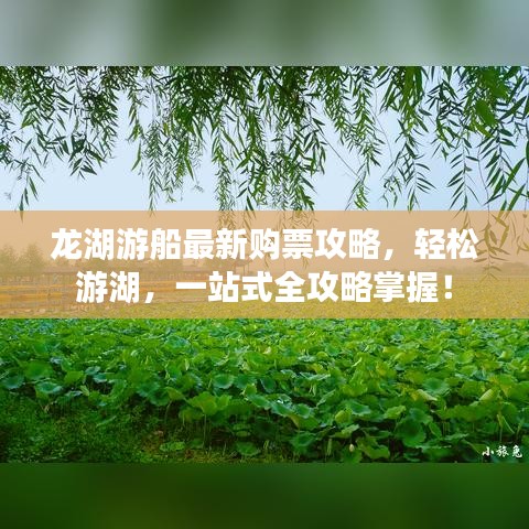 龙湖游船最新购票攻略，轻松游湖，一站式全攻略掌握！