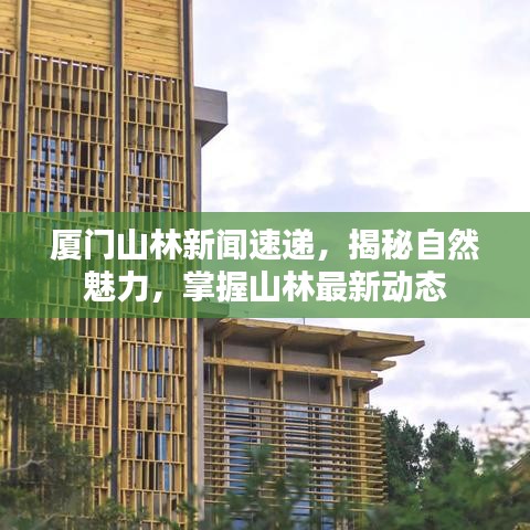 厦门山林新闻速递，揭秘自然魅力，掌握山林最新动态
