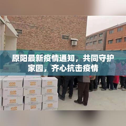 原阳最新疫情通知，共同守护家园，齐心抗击疫情