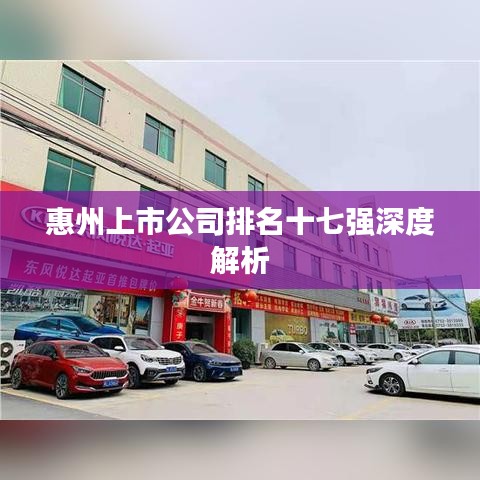 惠州上市公司排名十七强深度解析