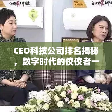 CEO科技公司排名揭秘，数字时代的佼佼者一览无余
