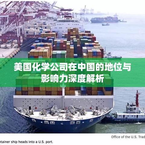 美国化学公司在中国的地位与影响力深度解析