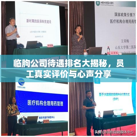 临朐公司待遇排名大揭秘，员工真实评价与心声分享