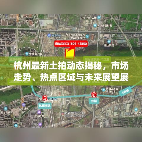杭州最新土拍动态揭秘，市场走势、热点区域与未来展望展望