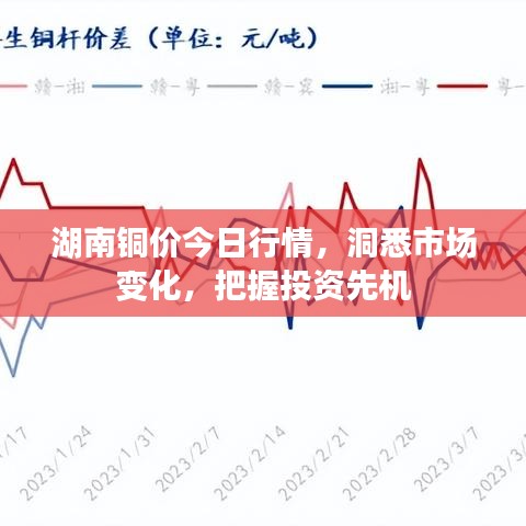 湖南铜价今日行情，洞悉市场变化，把握投资先机