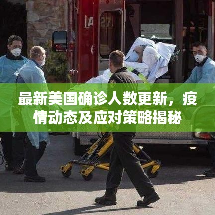 最新美国确诊人数更新，疫情动态及应对策略揭秘