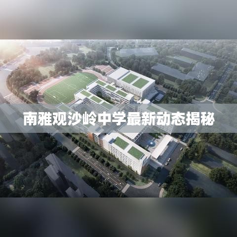 2025年6月 第330页