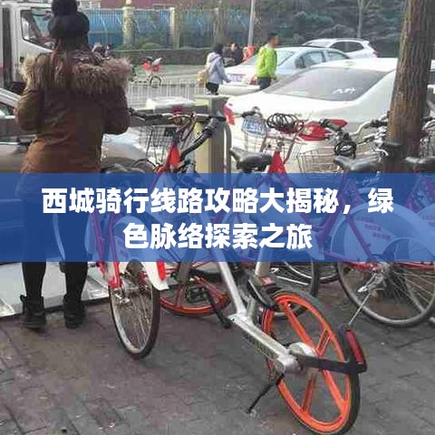 西城骑行线路攻略大揭秘，绿色脉络探索之旅