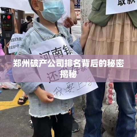 郑州破产公司排名背后的秘密揭秘