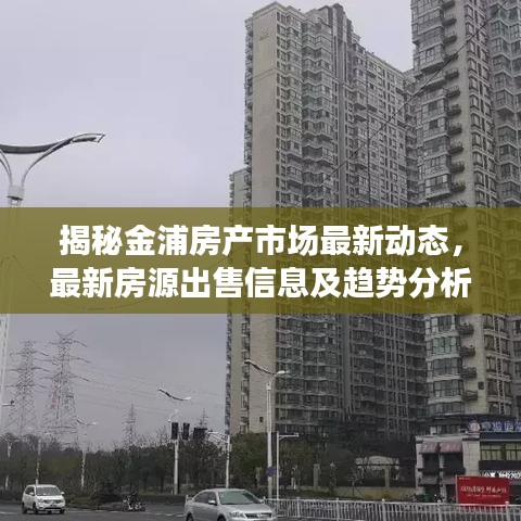 揭秘金浦房产市场最新动态，最新房源出售信息及趋势分析